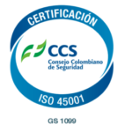 CCS-45001.PNG-300x274
